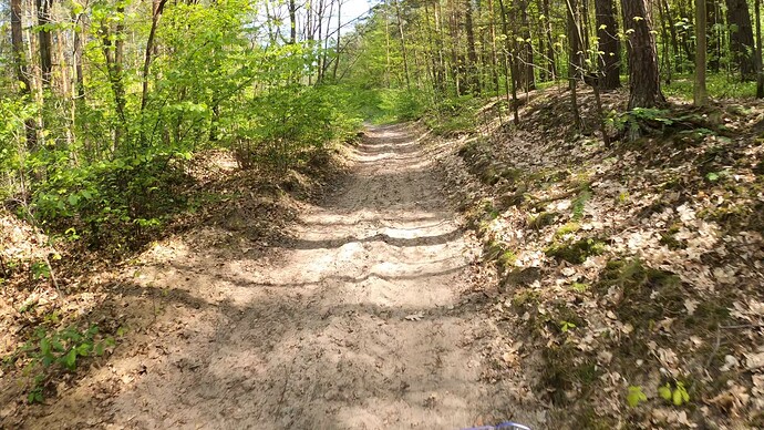 GX012138.MP4_snapshot_00.05_2024.04.28_19.26.35