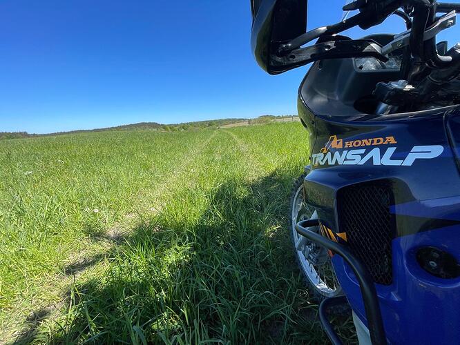 WhatsApp Image 2024-05-23 at 21.41.11