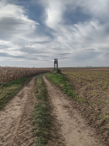 IMG_20221016_150121954_HDR