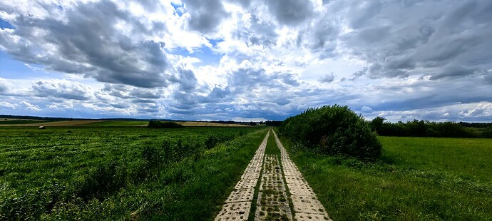 IMG_20240704_144610