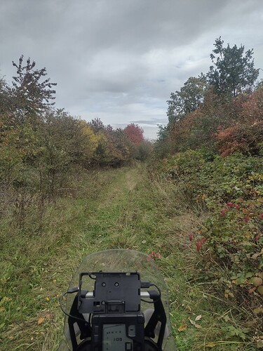 IMG_20221016_130735117_HDR