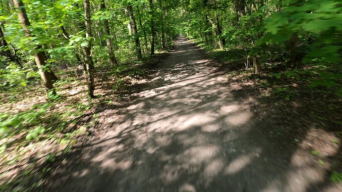 GX012123.MP4_snapshot_00.14_2024.04.28_19.19.50