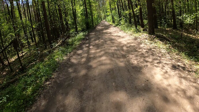 GX012136.MP4_snapshot_00.37_2024.04.28_19.24.54