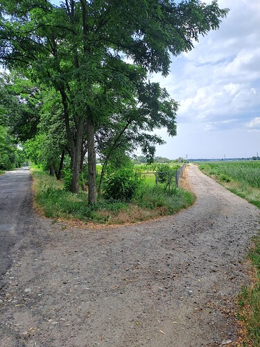 Pietrzykowice