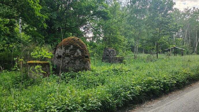 IMG20240516171810