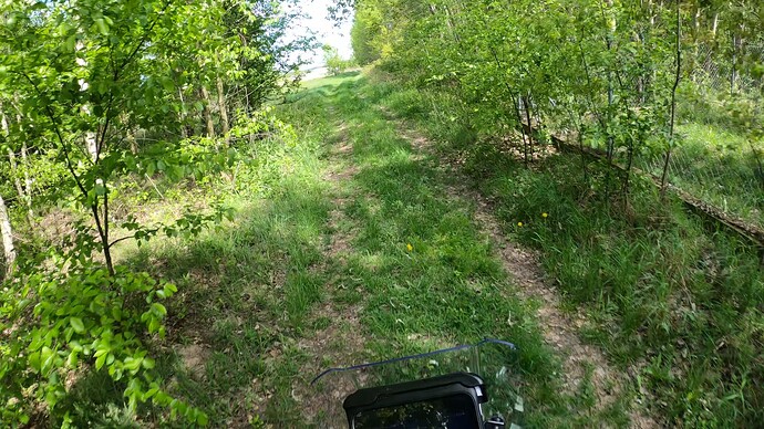 GX012141.MP4_snapshot_00.22_2024.04.28_19.28.06