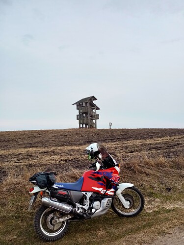 IMG20230319162634
