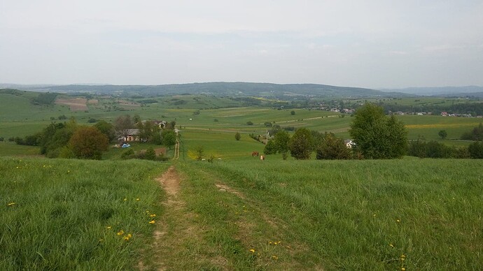 315351941_1092123331336388_5134043207325905255_n