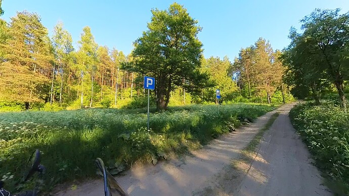 29