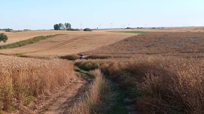 received_5483062748412170