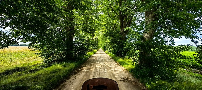 IMG_20240704_144959