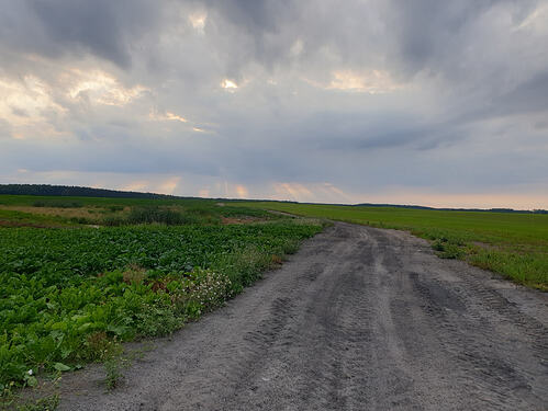p_20260803_190251