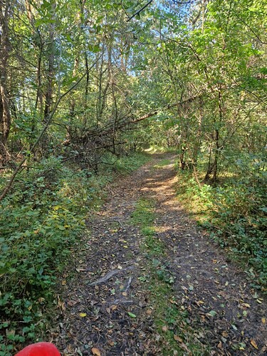 30662555-2729-4d4b-b938-9daa812c7ea1