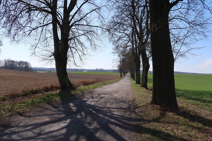Szutry, okolice Kraplewa 1