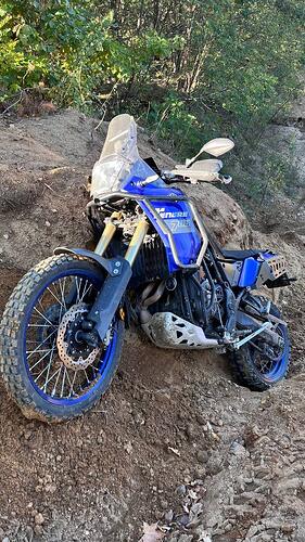 IMG_20241021_003221_488