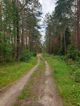 p_20260803_174056