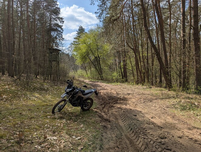 PXL_20250412_114912163