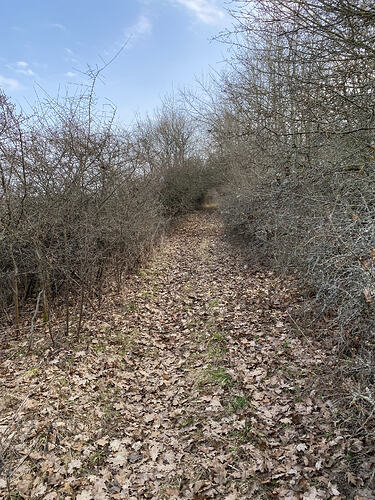 17_Kasztanowo_Raciszewo_4_76km