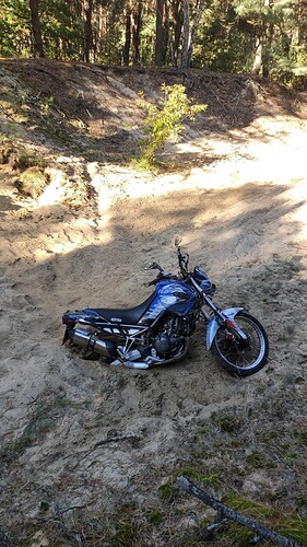 IMG_20241019_123135~2