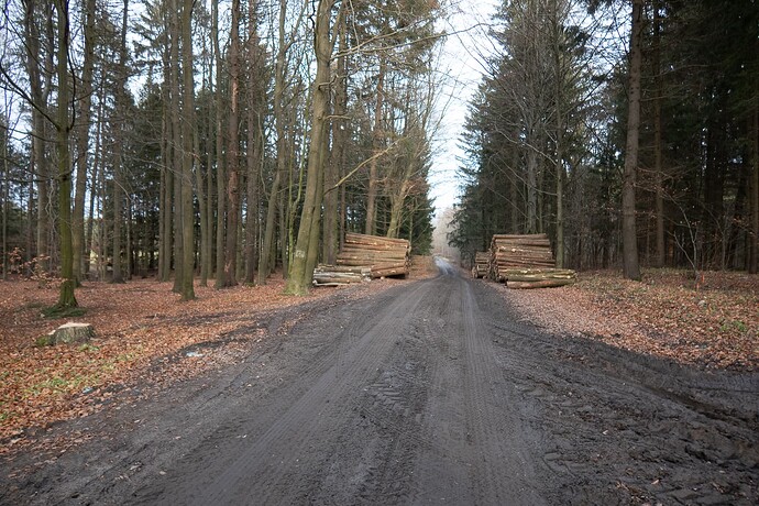 Droga Tuławki-Frączki_IMG_5101_1600px