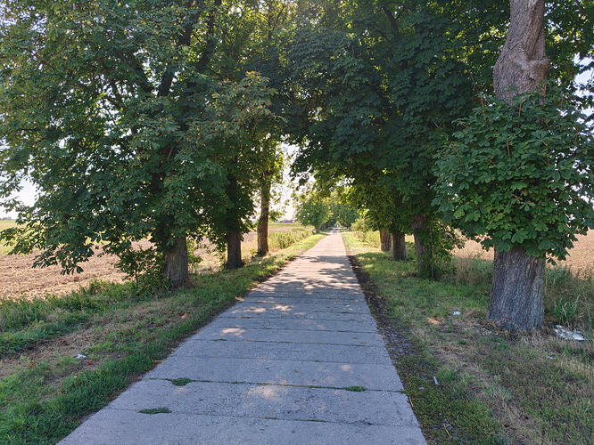 IMG20260813162355