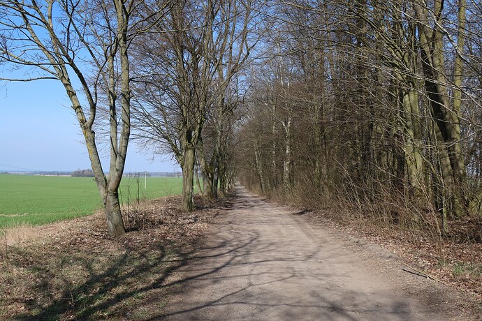 Szutry, okolice Zajączek 2