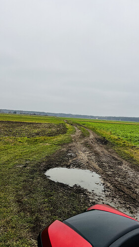 IMG_2991.HEIC