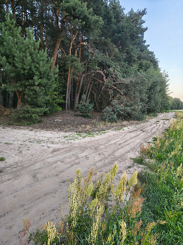 IMG_20260809_200701290_HDR