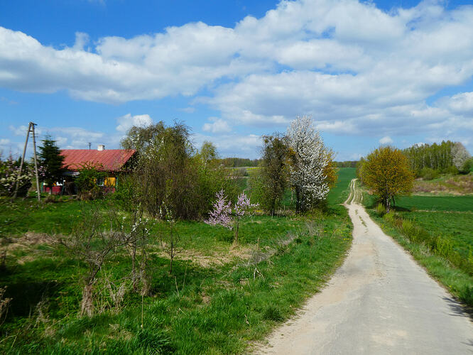 P1030559