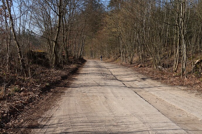 Wojtkowizna, podjazd po starym bruku z DK53 k. Klewek