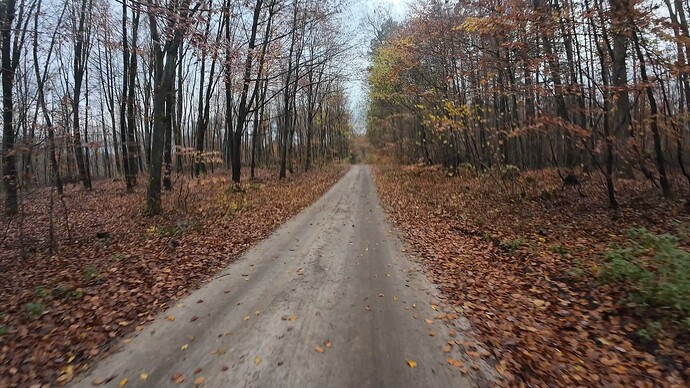 dji_export_photo_20251111172920276