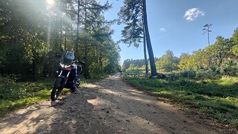 P_20241012_125546