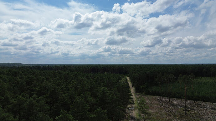 DJI_0034