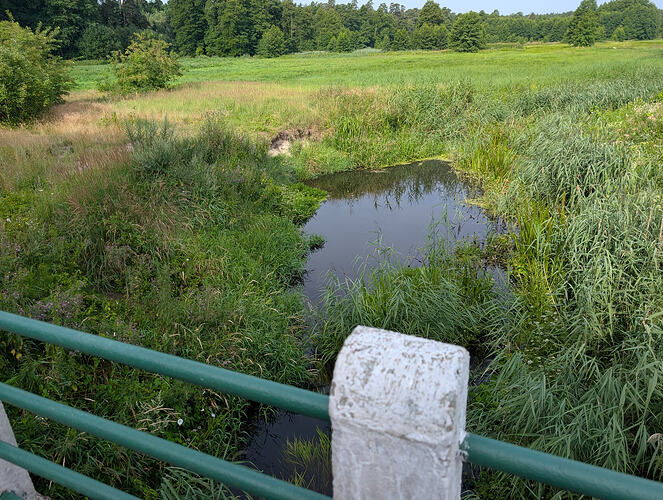 PXL_20260726_070345313