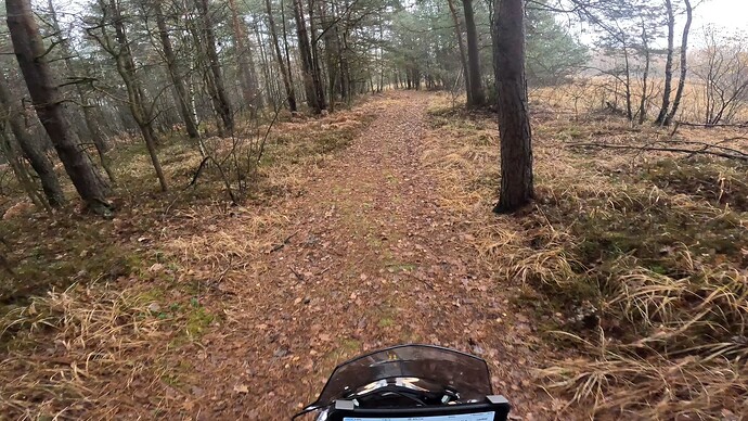 GX010108.MP4_snapshot_02.29.172