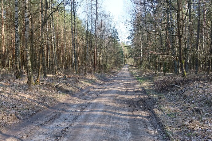 Odcinek piaszczysty, okolice Siemianowa