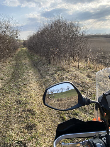 15_Kasztanowo_Raciszewo_2_75km