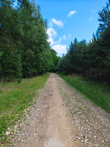 IMG_20260711_113954