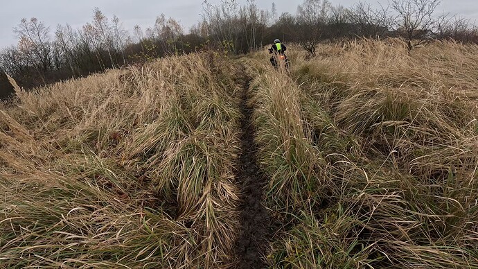 GX010099.MP4_snapshot_04.55.448