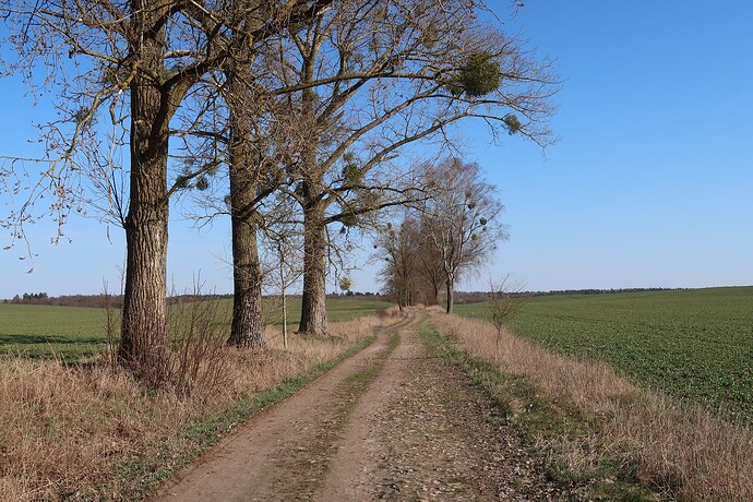 Szutry, okolice Nowej Wsi 4