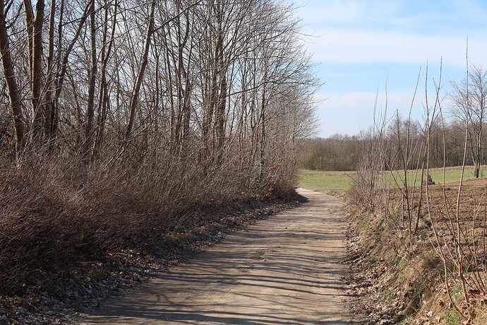 Szuter Ostrowite - Leszcz 1