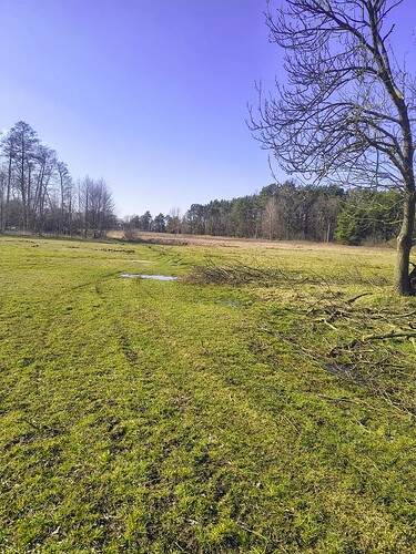 IMG_20250316_140732763_HDR_AE