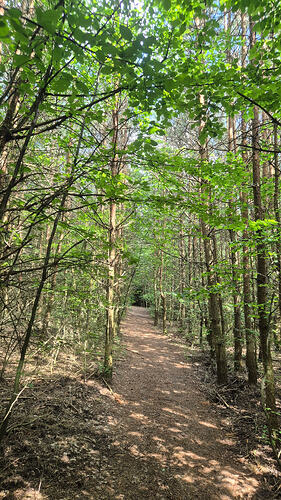 20260606_152929