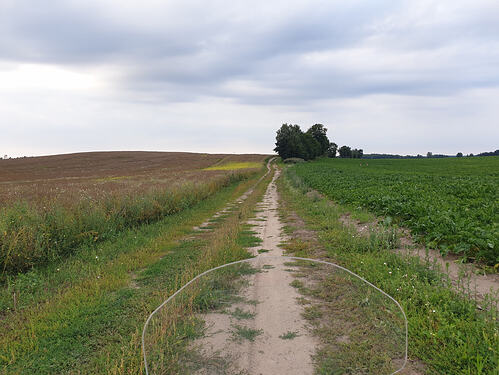 p_20260803_185931