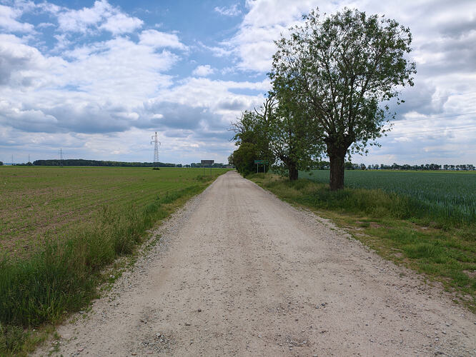 IMG20260531120143