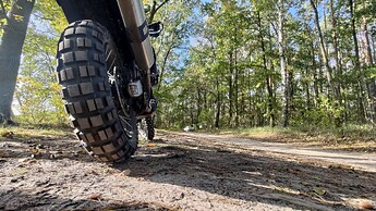 P_20241012_144313