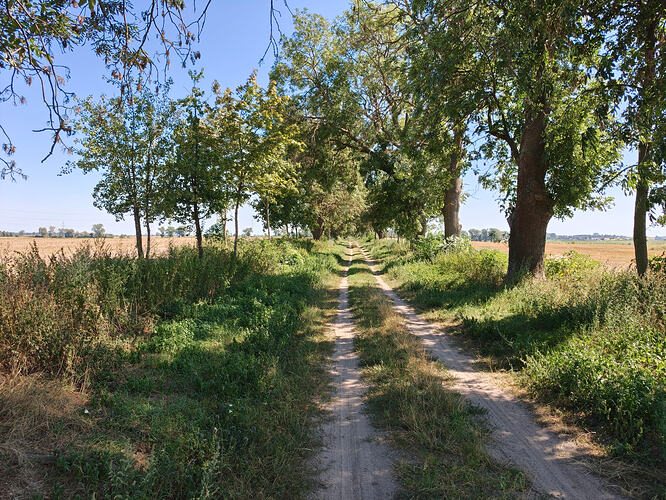 IMG20260813141013