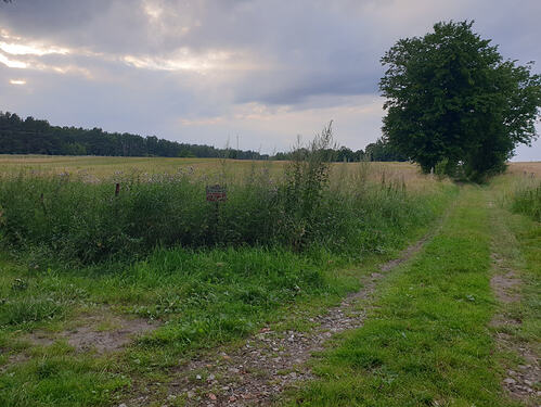 p_20260803_185651