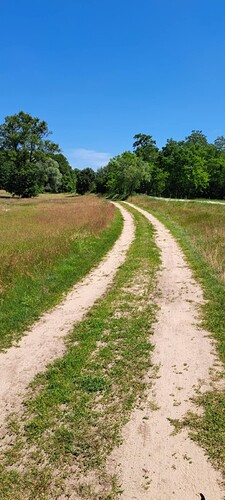 089c2a76-e6bc-4e2e-afe6-f6e77cdf6f50