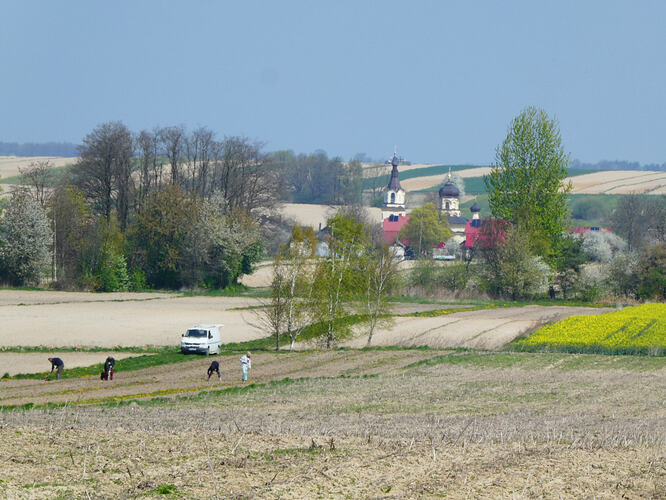 P1030518